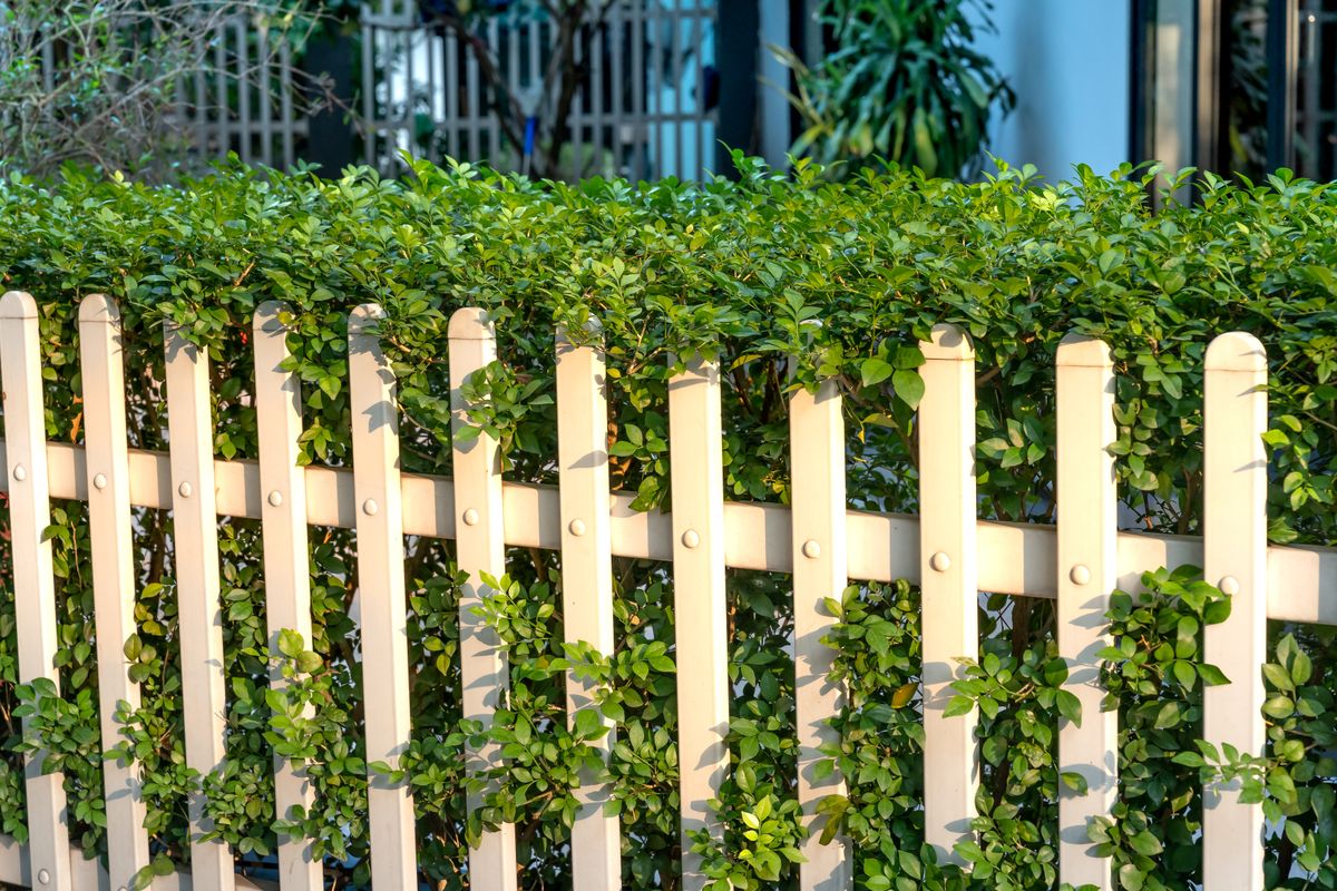 Fencing Repair — Amazing Property Maintenance